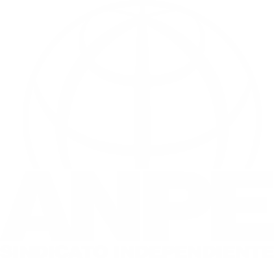 Footer ANPE